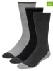 Ted Baker 6er-Set: Socken in Anthrazit