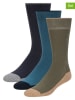 Ted Baker 6er-Set: Socken in Blau/ Khaki