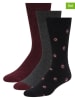Ted Baker 6-delige set: sokken zwart/bordeaux