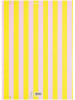 folia PAPER Teczka "Neon Stripes" - 5+