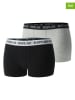 Replay Underwear 2er-Set: Pantys in Schwarz/ Grau