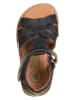 El Naturalista Leren sandalen "Atenas" donkerblauw