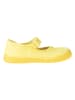 El Naturalista Baleriny w kolorze żółtym