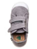 El Naturalista Sneakers in Grau