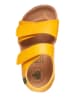 El Naturalista Sandalen geel