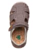 El Naturalista Enkelsandalen bruin