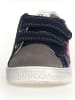 Naturino Leren sneakers "Pinn" donkerblauw/grijs