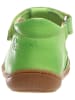 Naturino Leren enkelsandalen "Wad" groen