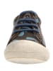 Naturino Leren sneakers zwart/meerkleurig