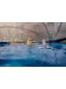 EXIT Pool-Abdeckung in Transparent/ Schwarz - Ø 320 cm