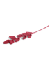 Gry & Sif Siertak ''Leaf'' rood - (L)54 cm
