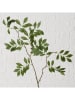 Boltze Dekoracyjna gałązka "Leaf" w kolorze zielonym - wys. 30 cm