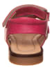 POM POM Leder-Sandalen in Pink