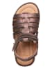 POM POM Leder-Sandalen in Braun