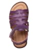 POM POM Leder-Sandalen in Lila
