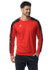 erima Sweatshirt "Evo Star" in Rot