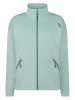 Westfjord Fleecejacke in Grün