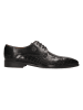 MELVIN & HAMILTON Leder-Schnürschuhe "Flynn 1" in Schwarz