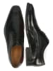 MELVIN & HAMILTON Leren veterschoenen "Lawrence 5" zwart