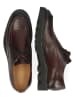MELVIN & HAMILTON Leder-Schnürschuhe "Matthew 51" in Braun