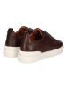 MELVIN & HAMILTON Leren sneakers "Jax 1" bruin