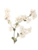 Bloomingville Kunstplant "Myrtle" wit/groen - (H)100 cm