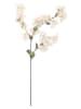 Bloomingville Kunstplant "Myrtle" wit/groen - (H)100 cm