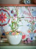 Bloomingville Bloempot "Eanna" wit/meerkleurig - (H)14 x Ø 19,5 cm