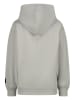 RAIZZED® Hoodie "Naizy" grijs