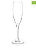 RCR cristalleria 6er-Set: Champagnerflöten "Invino" - 240 ml