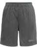 Jack Wolfskin Funktionsshorts "Desert" in Grau