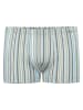 Ammann Boxershorts in Mint/ Hellblau