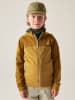 Dare 2b Funktionsjacke "Thriving IV" in Hellbraun