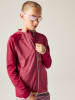 Dare 2b Funktionsjacke "Expedition" in Beere