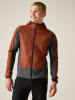 Dare 2b Funktionsjacke "Endurance" in Bordeaux/ Grau