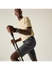 Dare 2b Funktionshose "Tuned In Pro" in Grau