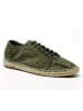 natural world Sneakersy w kolorze khaki
