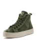 natural world Sneakersy w kolorze khaki