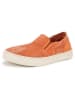 natural world Slipper in Orange