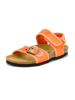 natural world Sandalen in Orange