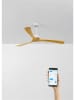 CREATE Deckenventilator ''Large'' in Beige - Ø 152 cm