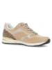 Gabor Leder-Sneakers in Hellbraun/ Beige