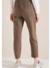 Cecil Broek camel