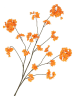 daan kromhout Siertak "Cherry Blossom" oranje - (H)126 cm