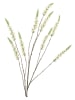 daan kromhout Dekoracyjna gałązka "Campanula" w kolorze biało-zielonym - wys. 146 cm
