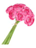 daan kromhout Dekoblumen "Ranunculus" in Pink - (H)32 cm