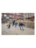 BS Toys Würfelspiel "Bugs - Active Search Game" - ab 3 Jahren
