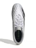 adidas Voetbalschoenen met noppen "Predator Accuracy 4 FxG" grijs