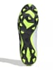 adidas Voetbalschoenen met noppen "Predator Accuracy 4 FxG" grijs