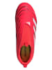 adidas Korki "Predator League FG/MG" w kolorze czerwonym